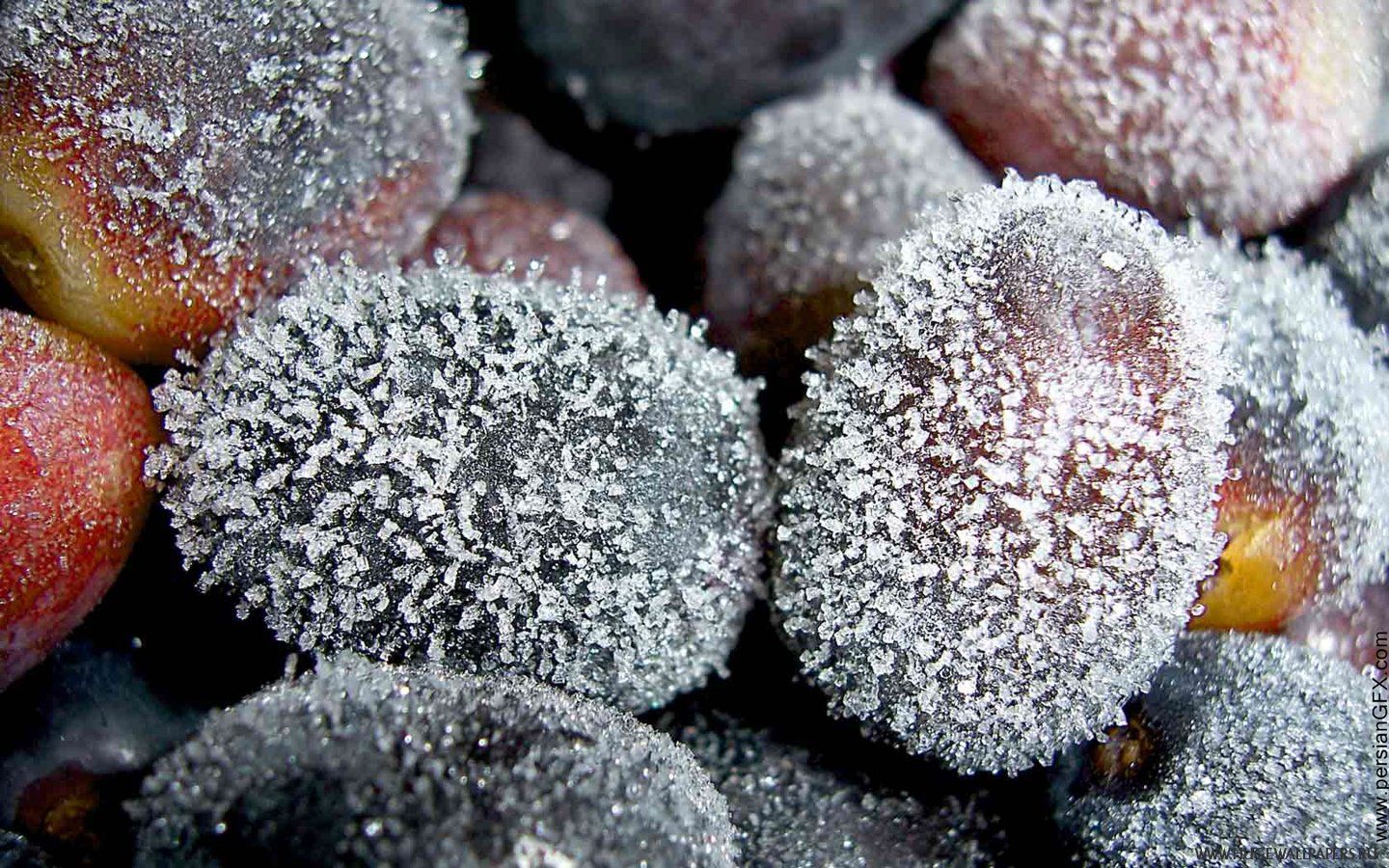 Precision Nitrogen Management for South African Potato Farmers